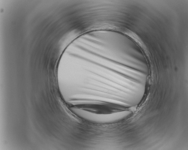 X0000067911242200605111934