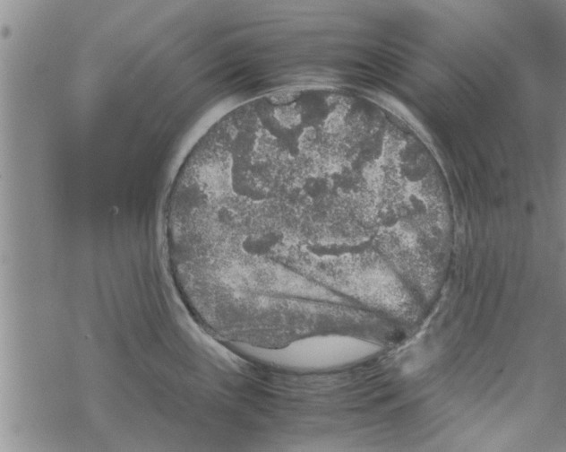 X0000067911243200605111934