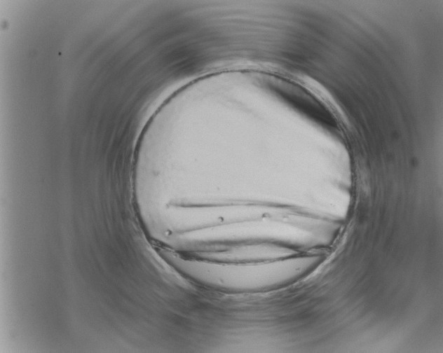 X0000067911244200605111935