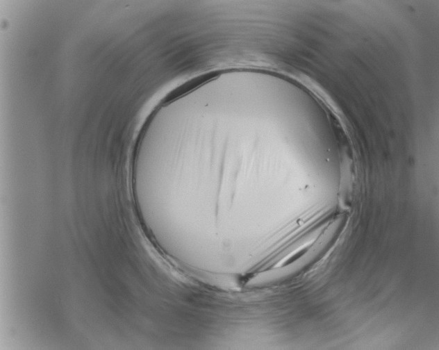 X0000067911246200605111935