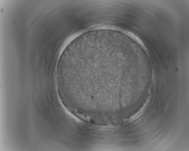 X0000067911247200605111935