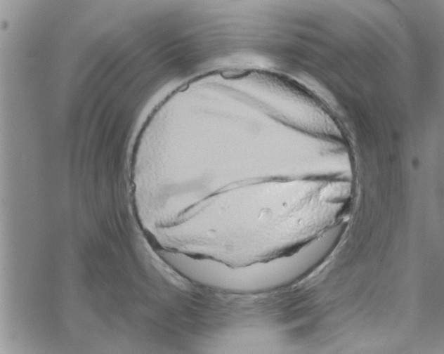 X0000067911248200605111935