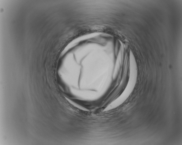 X0000067911249200605111934