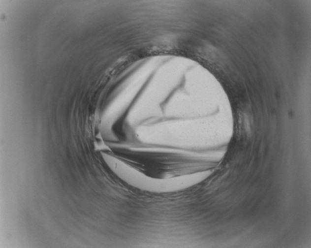 X0000067911250200605111934