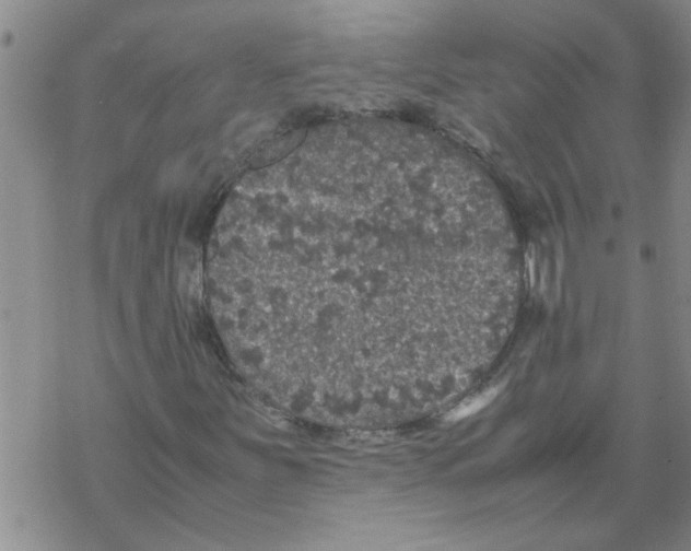 X0000067911251200605111934