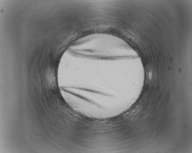 X0000067911252200605111934