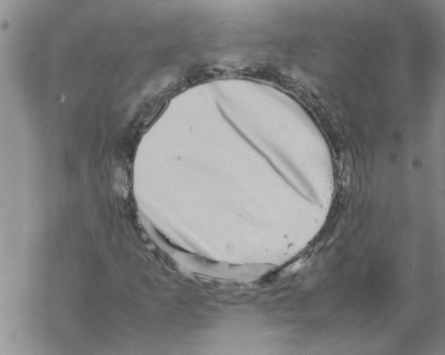 X0000067911253200605111934