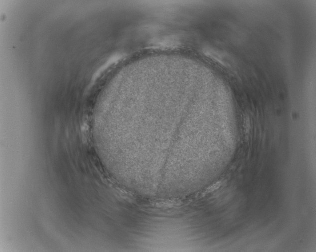 X0000067911254200605111934