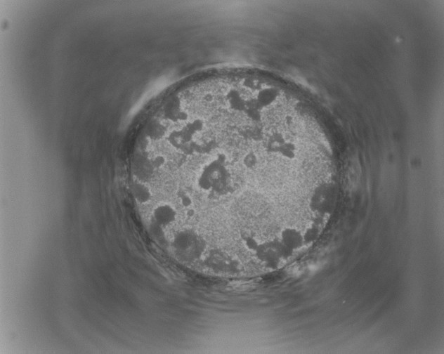 X0000067911255200605111934