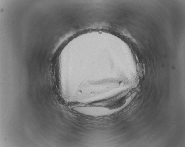 X0000067911256200605111934