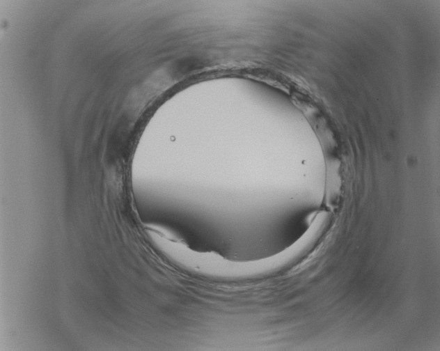 X0000067911257200605111934