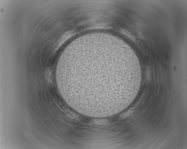 X0000067911258200605111934