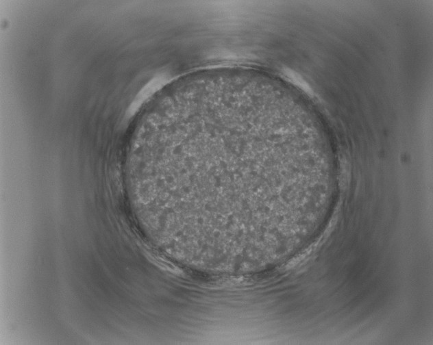 X0000067911259200605111934