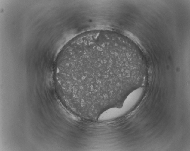 X0000067911260200605111934