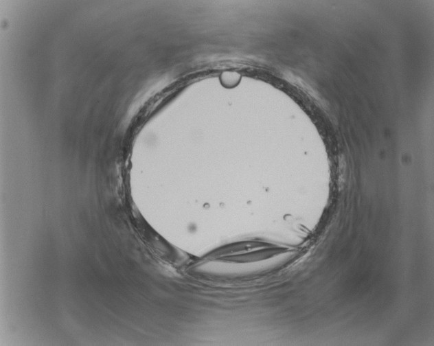 X0000067911261200605111934