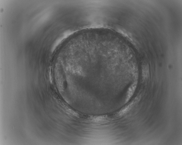 X0000067911262200605111934