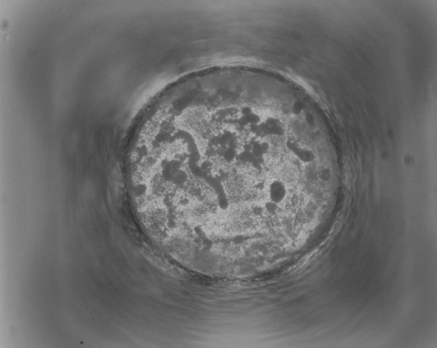 X0000067911263200605111934