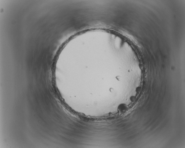 X0000067911264200605111934