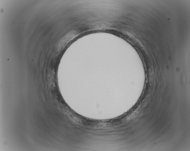 X0000067911265200605111934