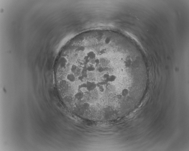 X0000067911267200605111934