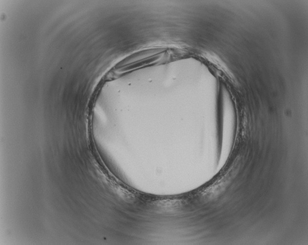 X0000067911268200605111933