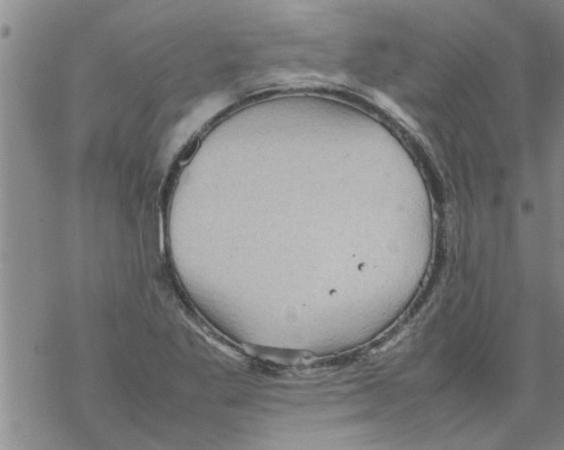 X0000067911269200605111933