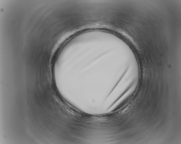 X0000067911270200605111933