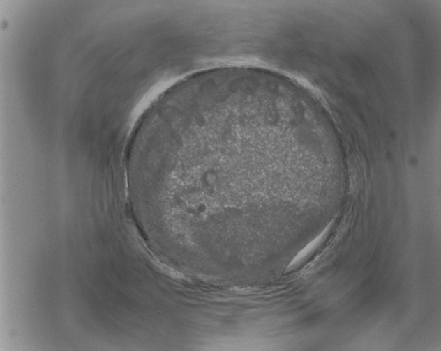 X0000067911271200605111933