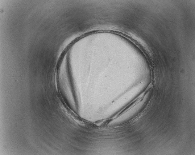 X0000067911272200605111933