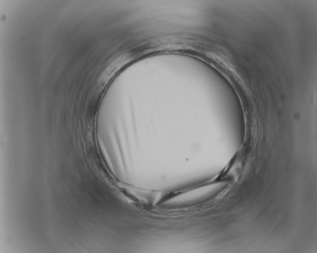 X0000067911273200605111933