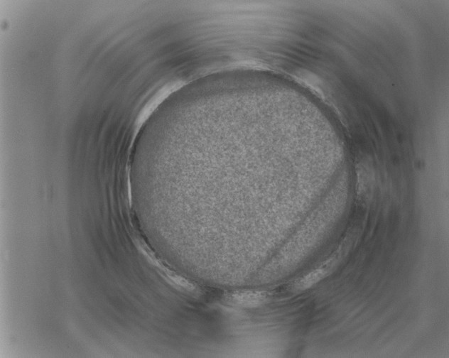 X0000067911274200605111933