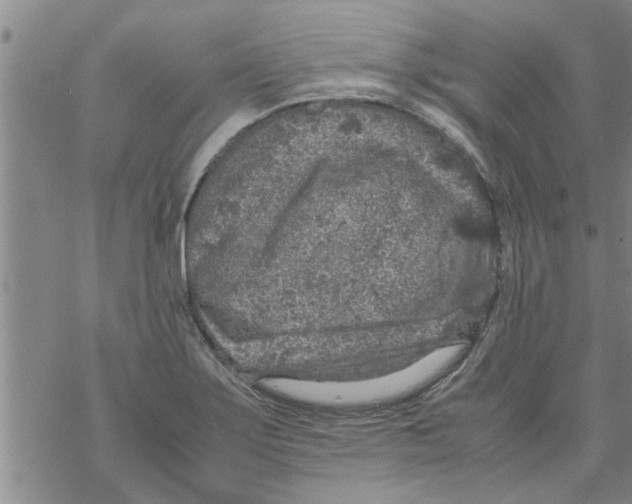 X0000067911275200605111933