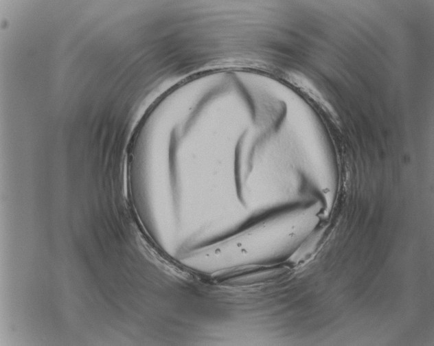 X0000067911276200605111933