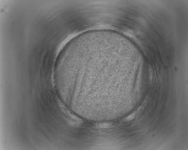 X0000067911278200605111933