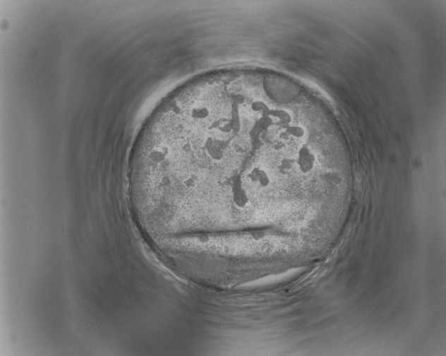 X0000067911279200605111933