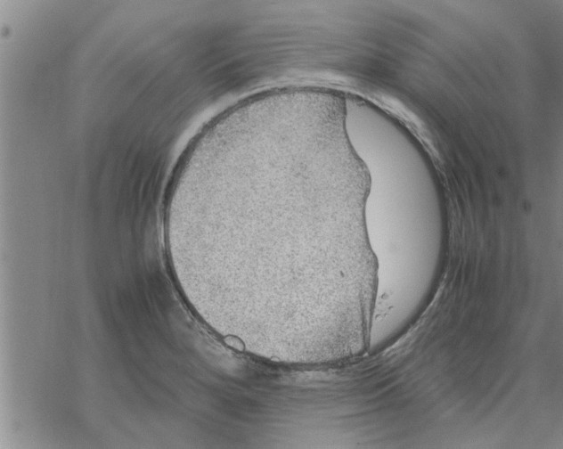 X0000067911280200605111933