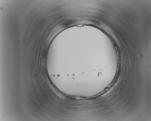 X0000067911281200605111933