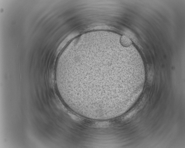 X0000067911282200605111933