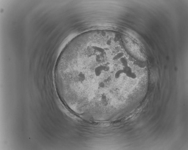 X0000067911283200605111933