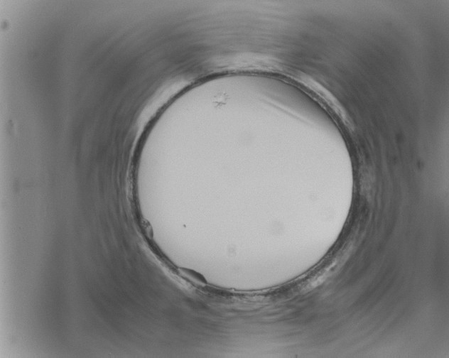 X0000067911285200605111933