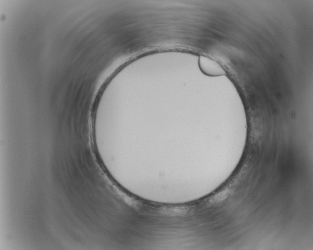 X0000067911286200605111933