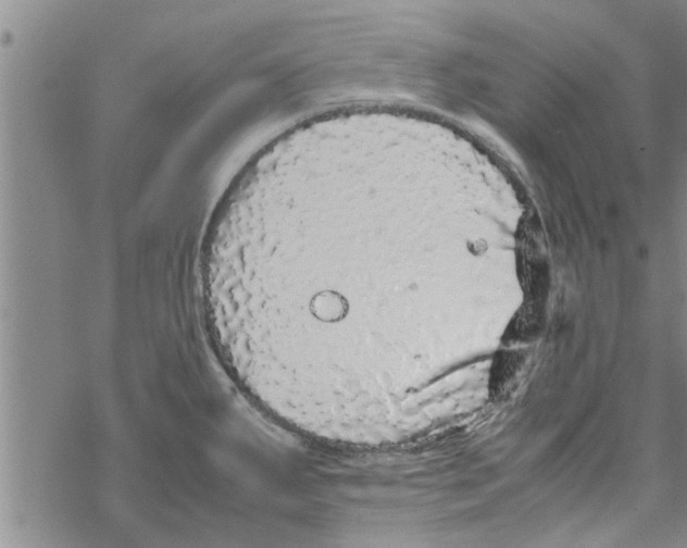 X0000067911287200605111933