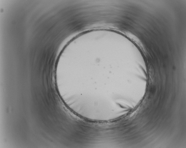 X0000067911288200605111933