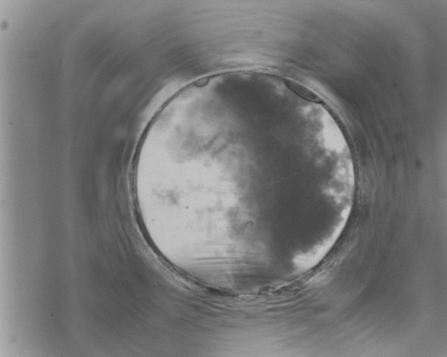 X0000067911291200605111933