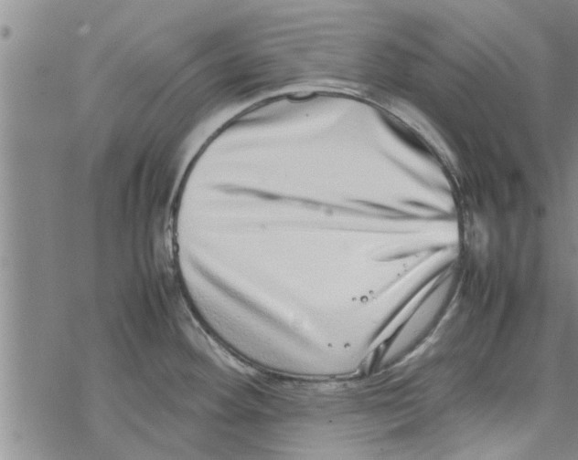 X0000067911292200605111933