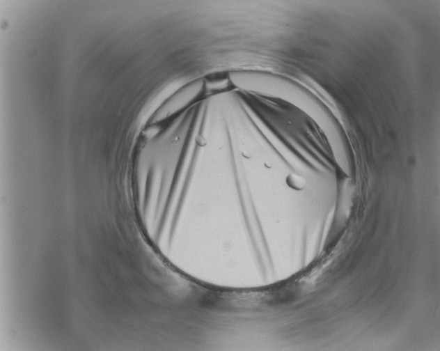 X0000067911293200605111933