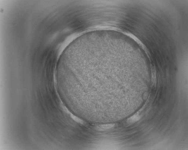 X0000067911294200605111933