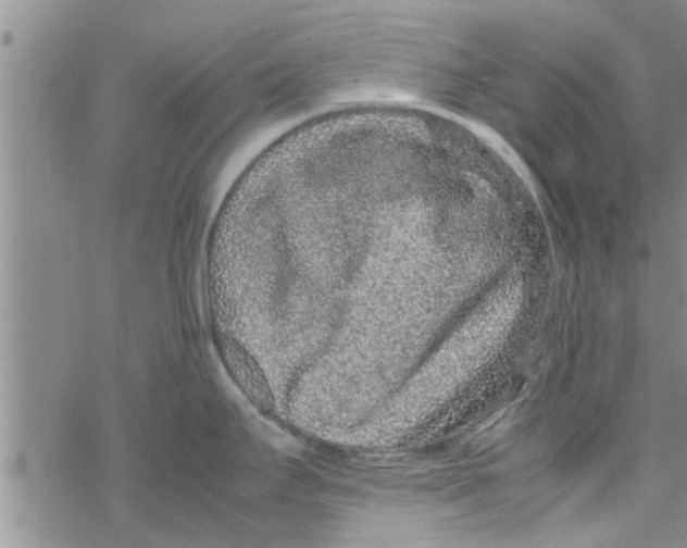 X0000067911295200605111933