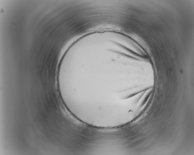 X0000067911296200605111933