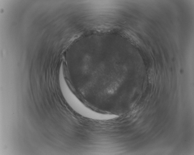 X0000067911298200605111932